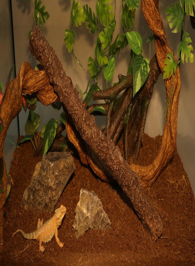 AQUA KT Reptile Climbing Stick Corner Tree Branch for Lizard Bearded Dragon Snake Hermit Crab Leopard Gecko Tree Frog Climber Accessory Terrarium Habitat Decoration - Image 3